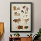Mushroom Species III - Modern Framed Canvas Print