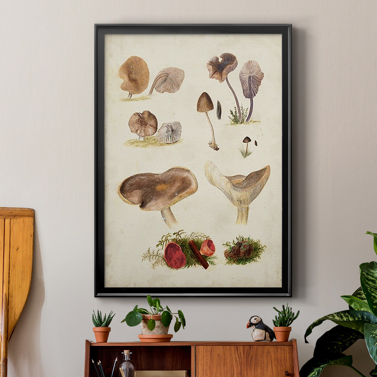 Mushroom Species III - Modern Framed Canvas Print