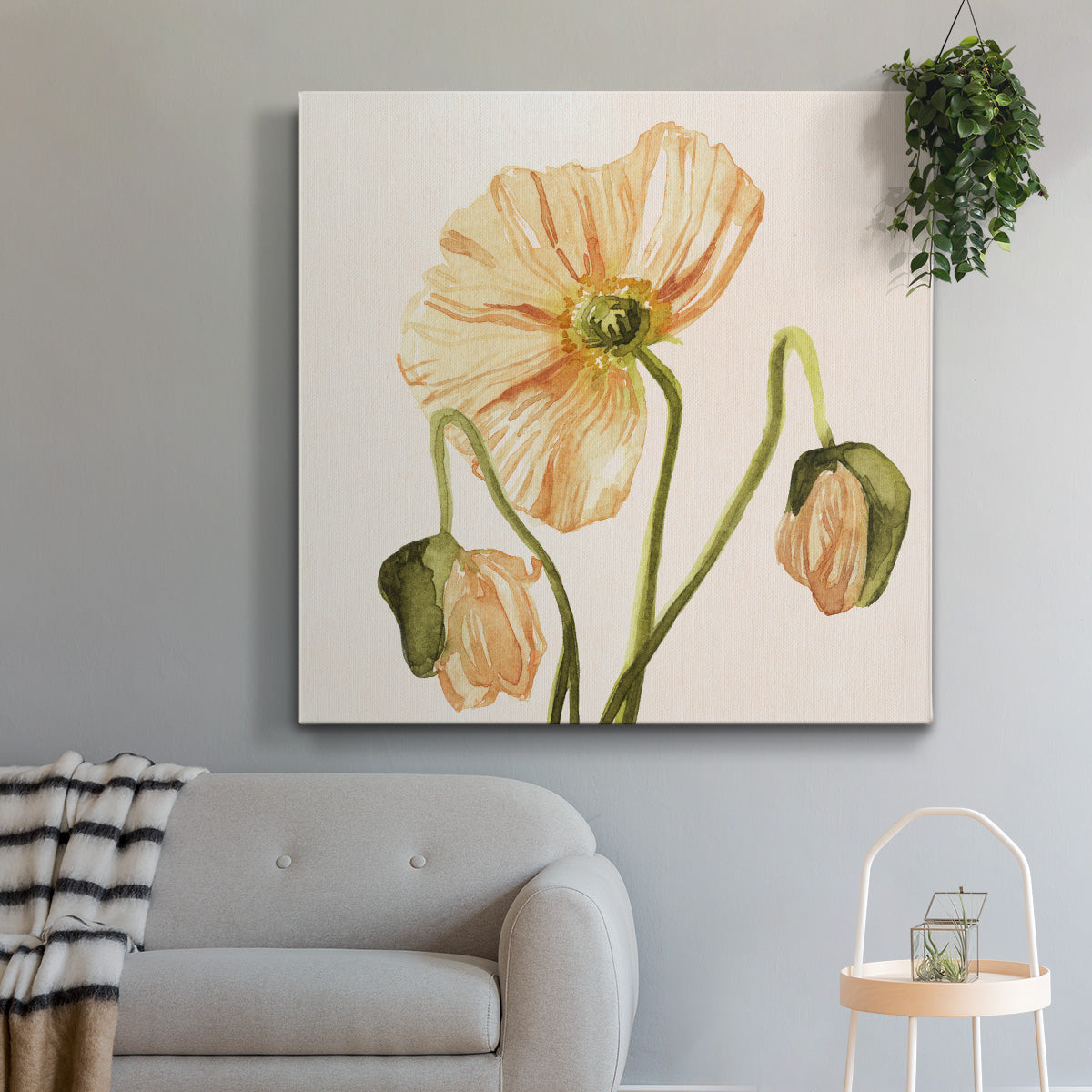 Highpoint Poppies I - Canvas Art Print