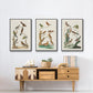 Antique Birds in Nature I - Framed Premium Gallery Wrapped Canvas L Frame 3 Piece Set - Ready to Hang