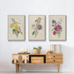 Antique Garden Bouquet I - Framed Premium Gallery Wrapped Canvas L Frame 3 Piece Set - Ready to Hang