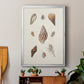 Knorr Shells & Coral IX - Modern Framed Canvas Print