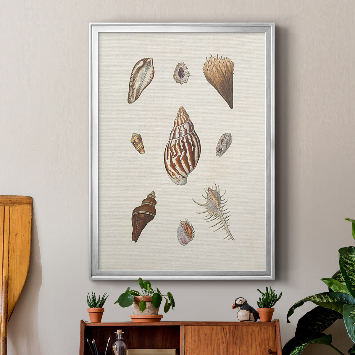 Knorr Shells & Coral IX - Modern Framed Canvas Print