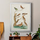 Antique Birds in Nature III - Modern Framed Canvas Print