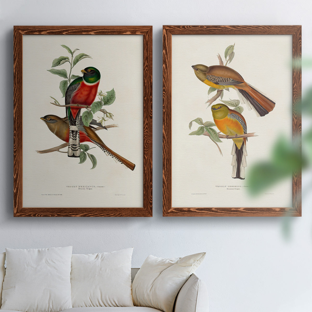 Elegant Trogons I - Premium Framed Canvas 2 Piece Set - Ready to Hang