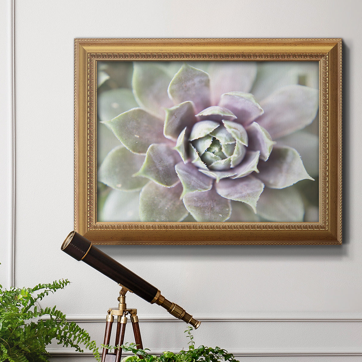 Succulent Glow II - Ornate Framed Canvas Print