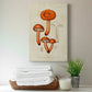 Mushroom Varieties IV Premium Gallery Wrapped Canvas - Ready to Hang