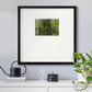 Calm of the Forest Premium Framed Print Double Matboard