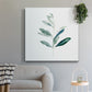 Summer Olive Branch I - Canvas Art Print