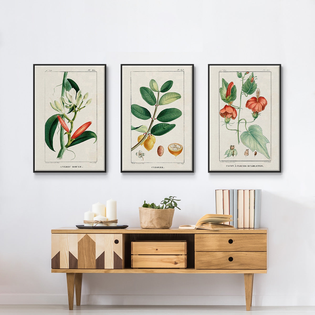 Turpin Tropical Botanicals IV - Framed Premium Gallery Wrapped Canvas L Frame 3 Piece Set - Ready to Hang