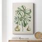 Buchoz Tropicals IX - Canvas Art Print