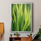 Blades of Grass II - Modern Framed Canvas Print