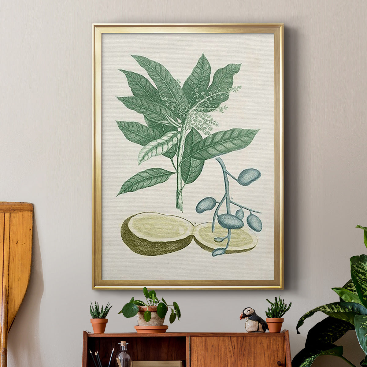 Buchoz Tropicals IV - Modern Framed Canvas Print