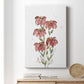 Watercolor Blooms II Premium Gallery Wrapped Canvas - Ready to Hang