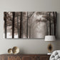 Misty Road - Canvas Art Print