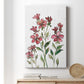 Watercolor Floral Stems II Premium Gallery Wrapped Canvas - Ready to Hang