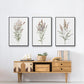 Dainty Botanical I - Framed Premium Gallery Wrapped Canvas L Frame 3 Piece Set - Ready to Hang