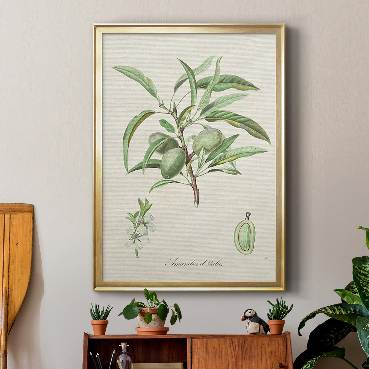 Antique Almond Botanical III - Modern Framed Canvas Print