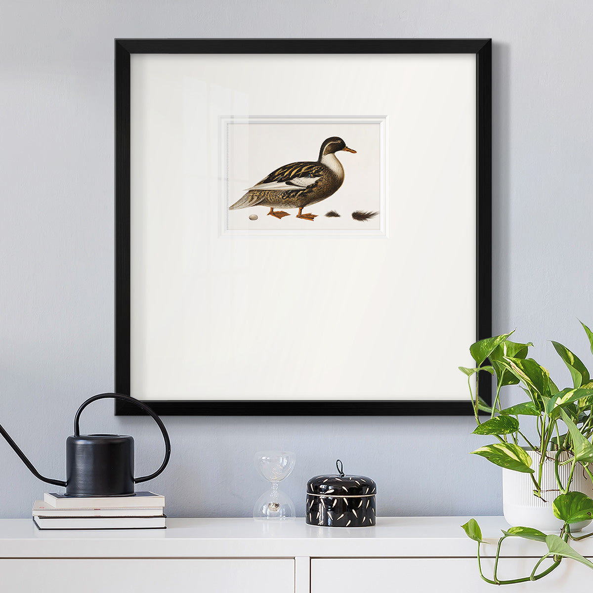 Golden Mallard Premium Framed Print Double Matboard