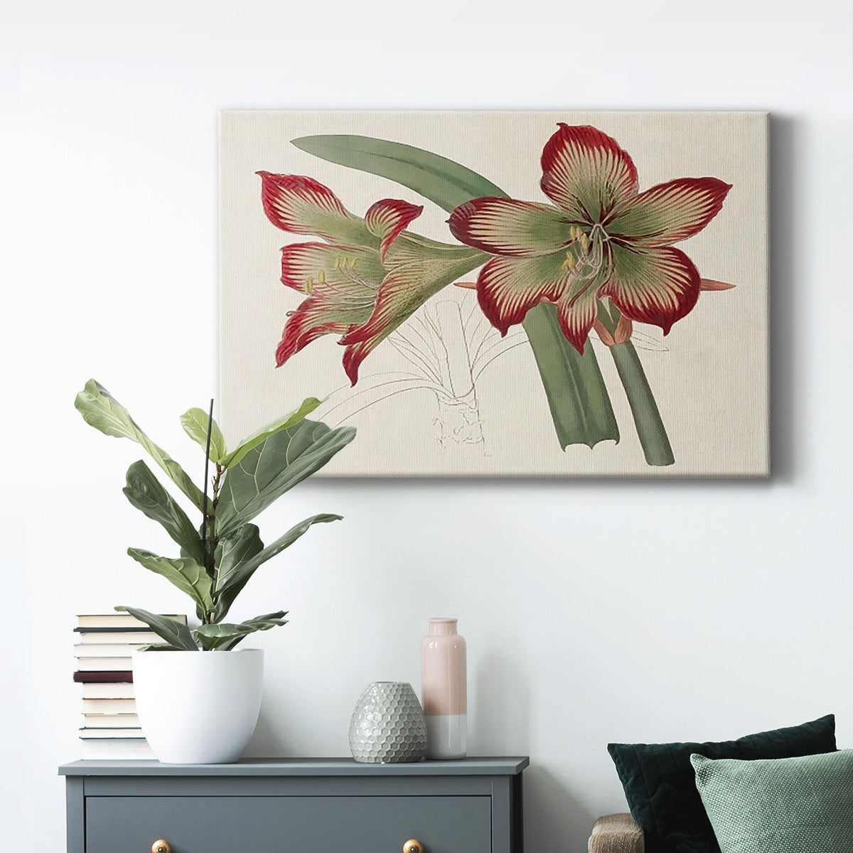 Amaryllis Varietals IV Premium Gallery Wrapped Canvas - Ready to Hang