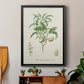 Antique Almond Botanical II - Modern Framed Canvas Print