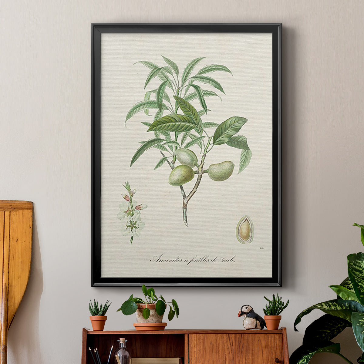 Antique Almond Botanical II - Modern Framed Canvas Print