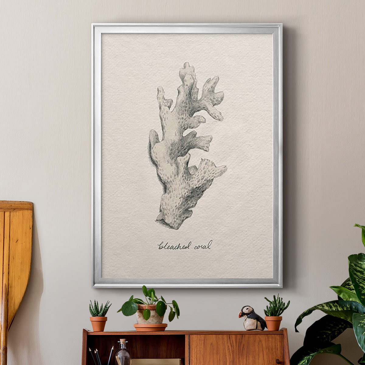 Shore Treasure Study II - Modern Framed Canvas Print