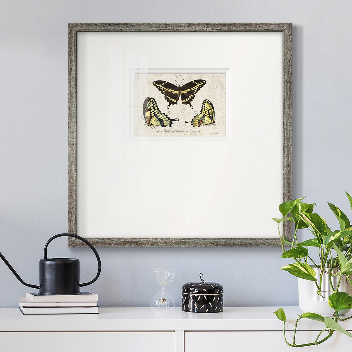 Crackled Butterflies I - Double Matboard Framed Print