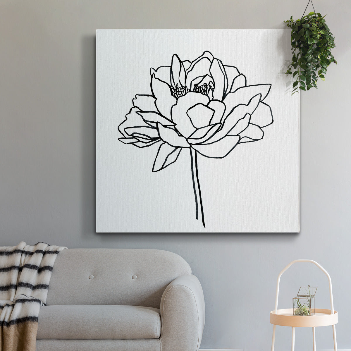 Peony Contour II - Canvas Art Print