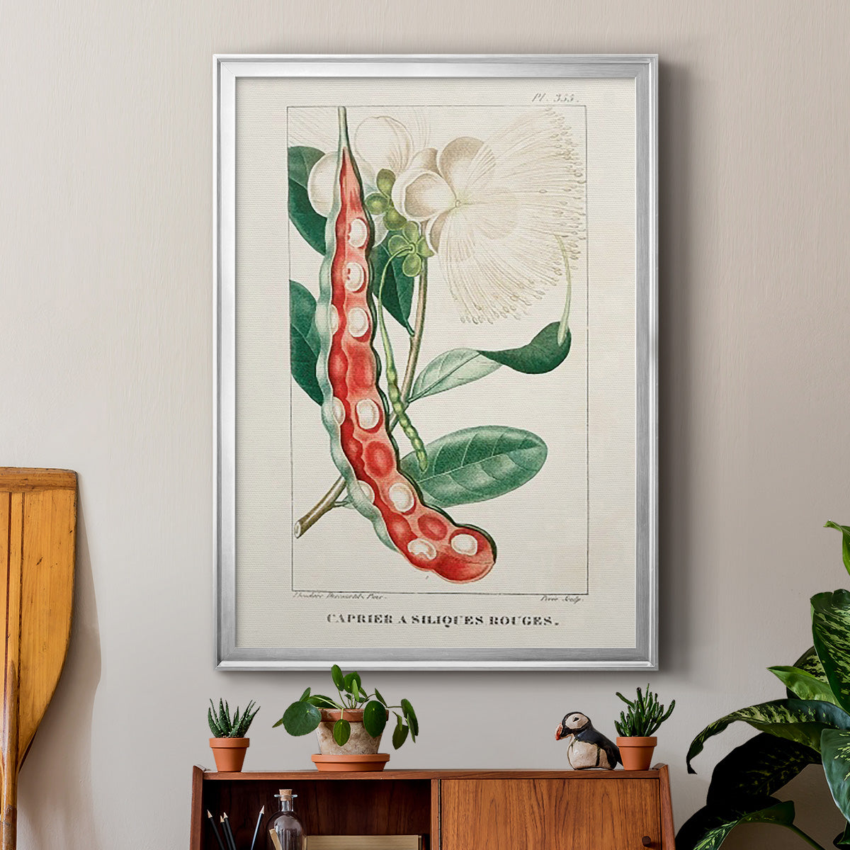 Turpin Tropical Botanicals VIII - Modern Framed Canvas Print