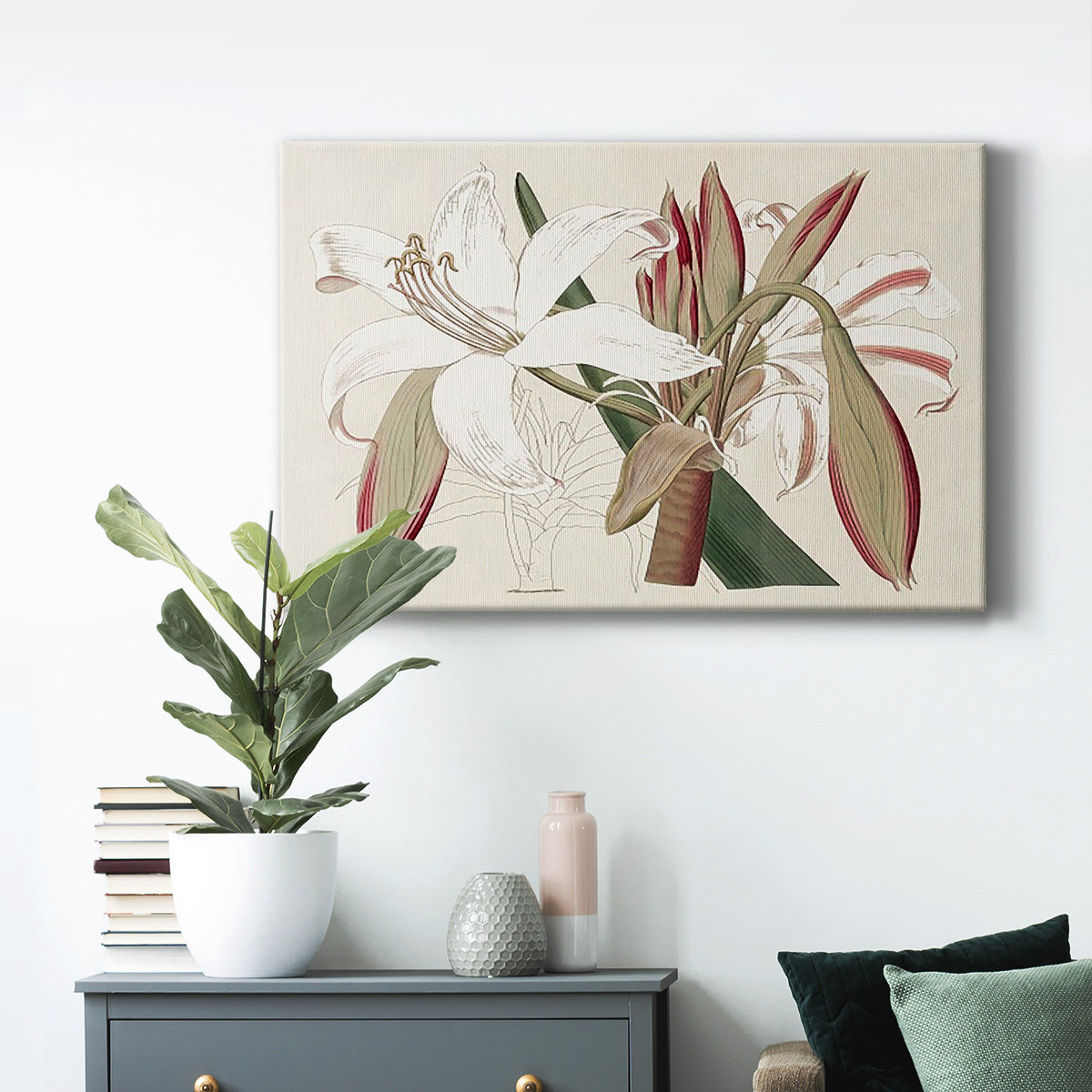 Amaryllis Varietals II Premium Gallery Wrapped Canvas - Ready to Hang