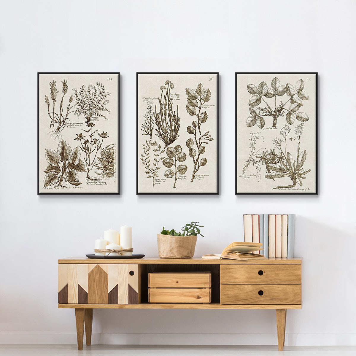 Sepia Botanical Journal VI - Framed Premium Gallery Wrapped Canvas L Frame 3 Piece Set - Ready to Hang