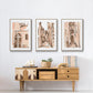 Blush Architecture Study IV - Framed Premium Gallery Wrapped Canvas L Frame 3 Piece Set - Ready to Hang