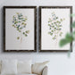 Eucalyptus I   - Premium Framed Canvas 2 Piece Set - Ready to Hang