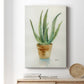 Succulent IV - Canvas Art Print