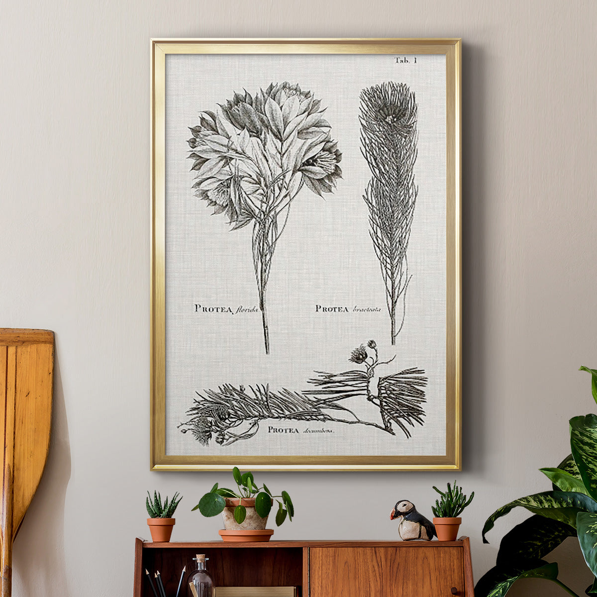 Black & White Protea on Linen I - Modern Framed Canvas Print