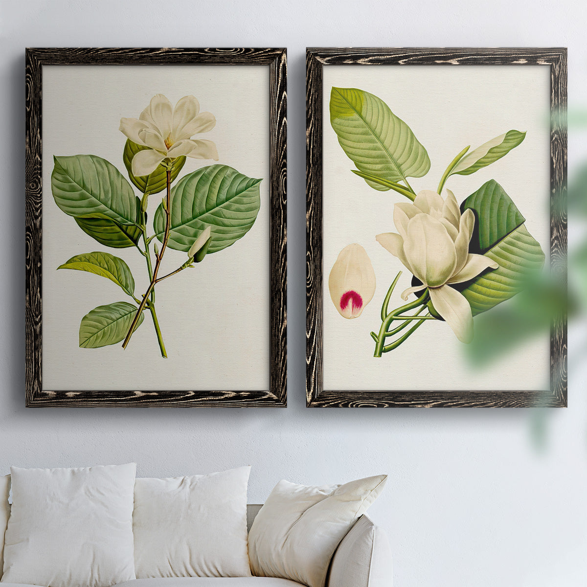Set of two black barnwood framed canvas prints depicting large pale petals, leafy branches, and soft watercolor shading arranged across two complementary compositions above a sofa in a bright living space.
