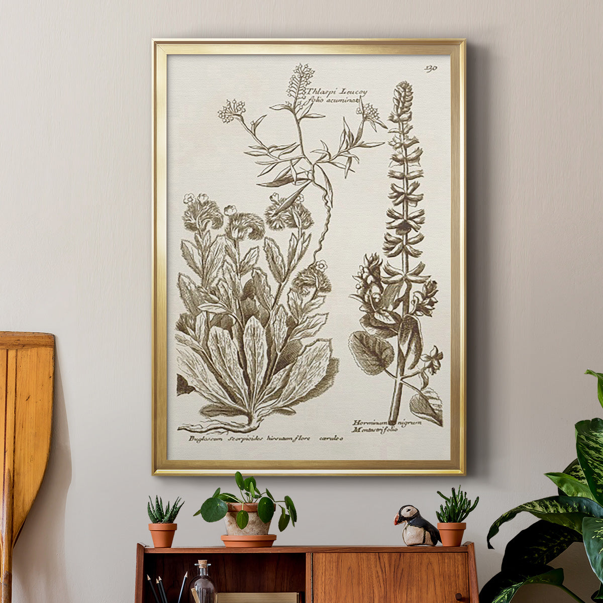 Sepia Botanical Journal IV - Modern Framed Canvas Print