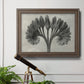 Vintage botanical plant study photograph by Karl Blossfeldt in an ornate traditional bronze frame displayed in a light-toned interior setting.