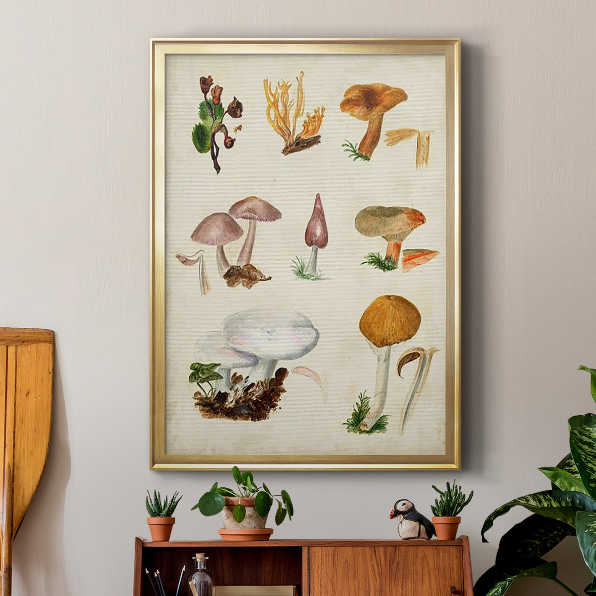 Mushroom Species VI - Modern Framed Canvas Print