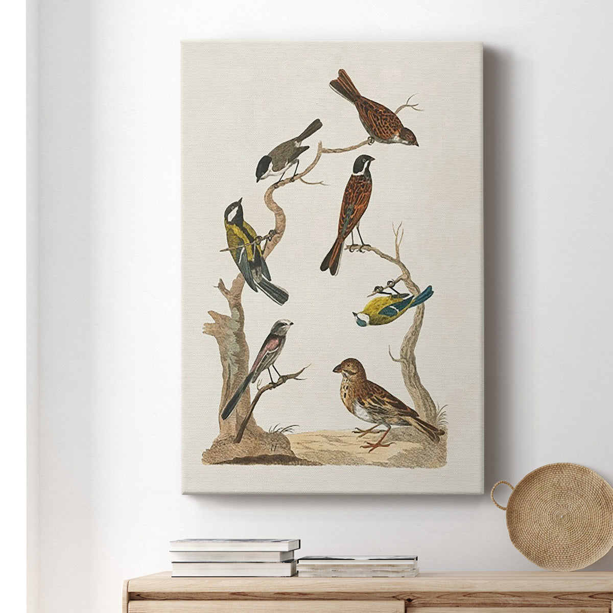 Antique Birds in Nature II Premium Gallery Wrapped Canvas - Ready to Hang