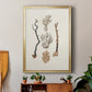 Knorr Shells & Coral V - Modern Framed Canvas Print