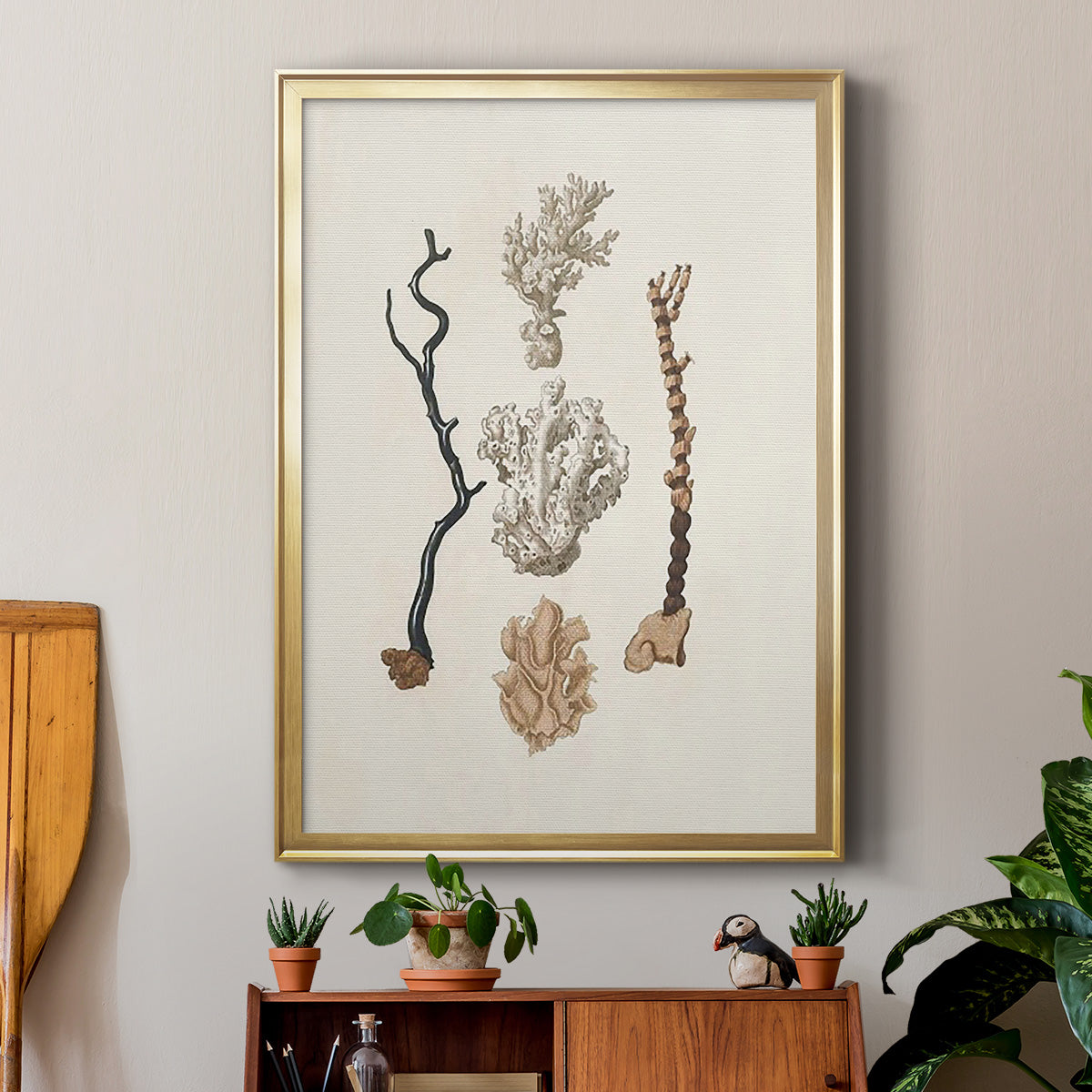 Knorr Shells & Coral V - Modern Framed Canvas Print