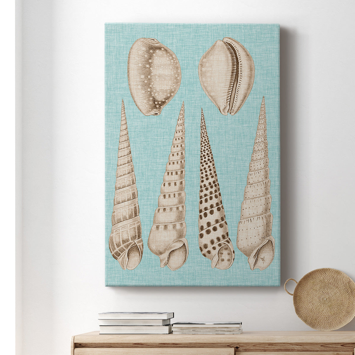 Sepia & Aqua Shells VI - Canvas Art Print