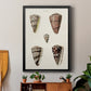 Cone Shell Collection III - Modern Framed Canvas Print