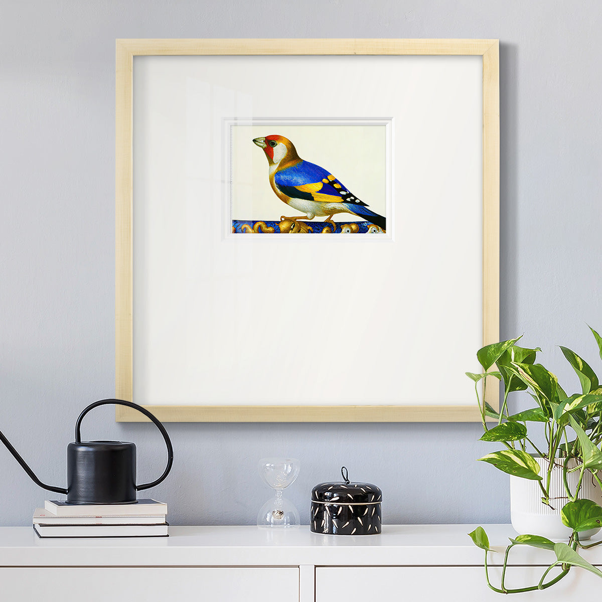 Blue Gold Finch Premium Framed Print Double Matboard