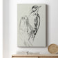 Woodpecker Sketch II Premium Gallery Wrapped Canvas - Ready to Hang