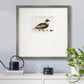 Golden Mallard Premium Framed Print Double Matboard