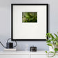 Arboreal Refuge Premium Framed Print Double Matboard