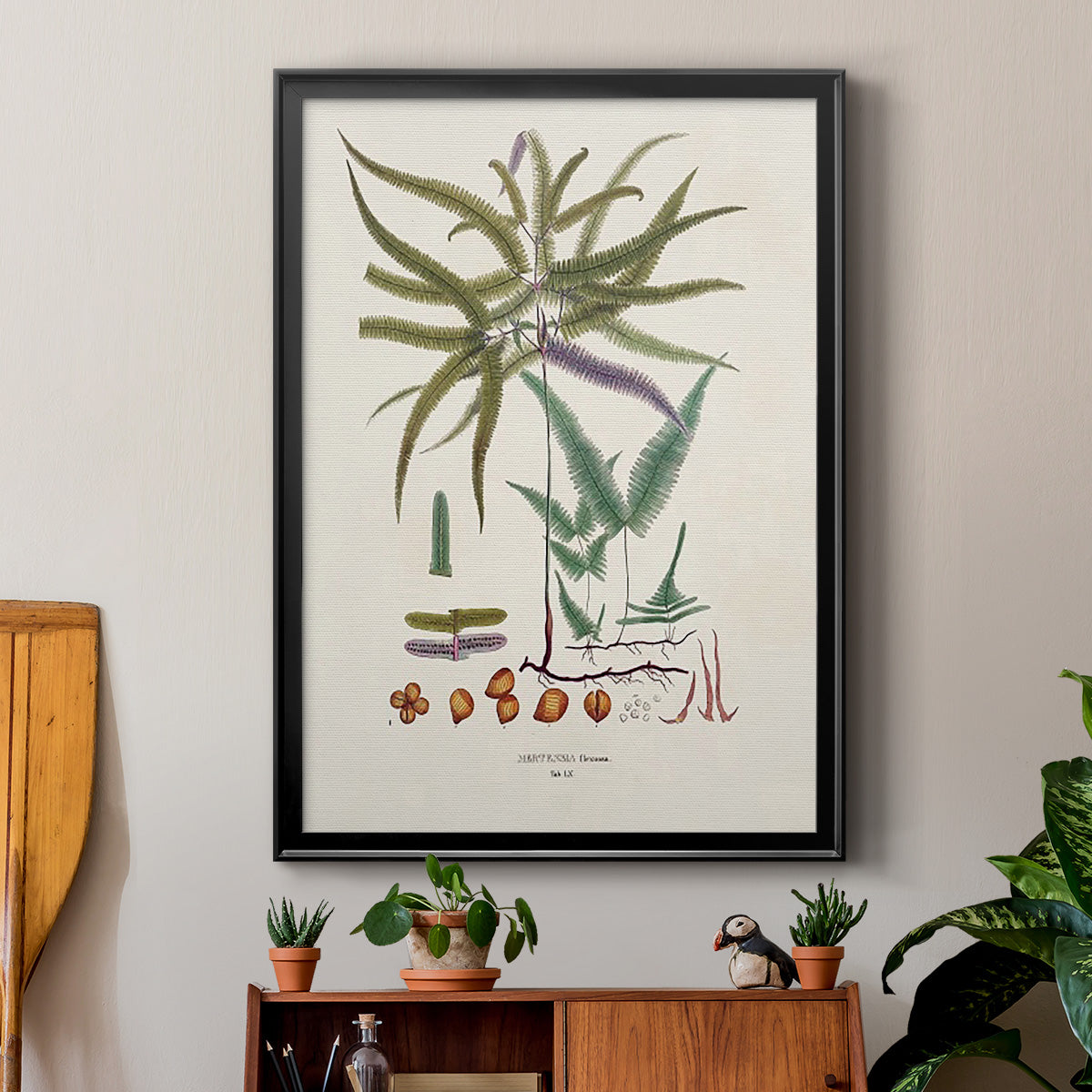 Botanical Society Ferns VIII - Modern Framed Canvas Print